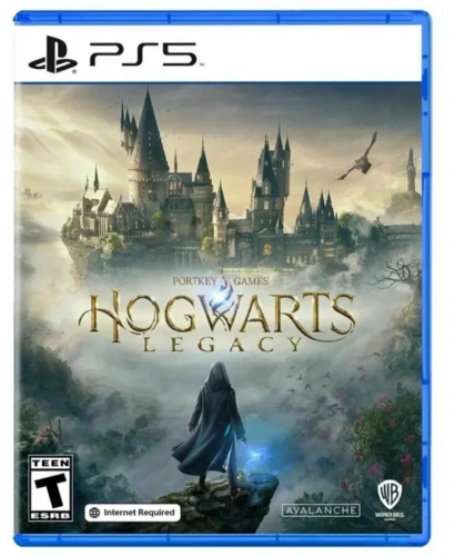 Игра Hogwarts Legacy (PS5)