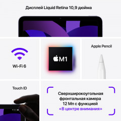 iPad Air (2022) 10.9" 256Gb Wi-Fi, без RuStore (Розовый)