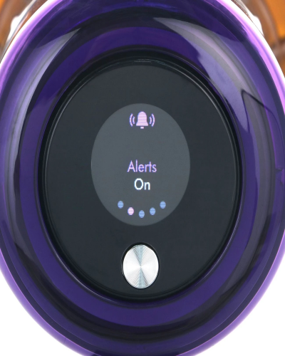 Пылесос Dyson V15 Detect Absolute SV22